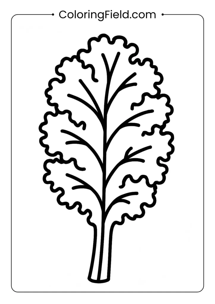 Kale coloring page with ruffled edges and prominent center vein