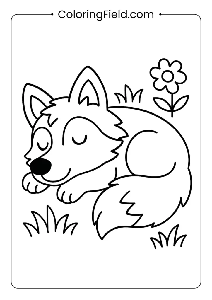 Sleeping wolf coloring page with curled body, fluffy fur, and peaceful expression