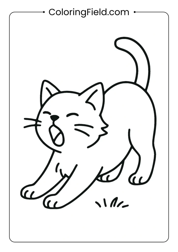 Kitten stretching with paws forward, tail up, yawning.