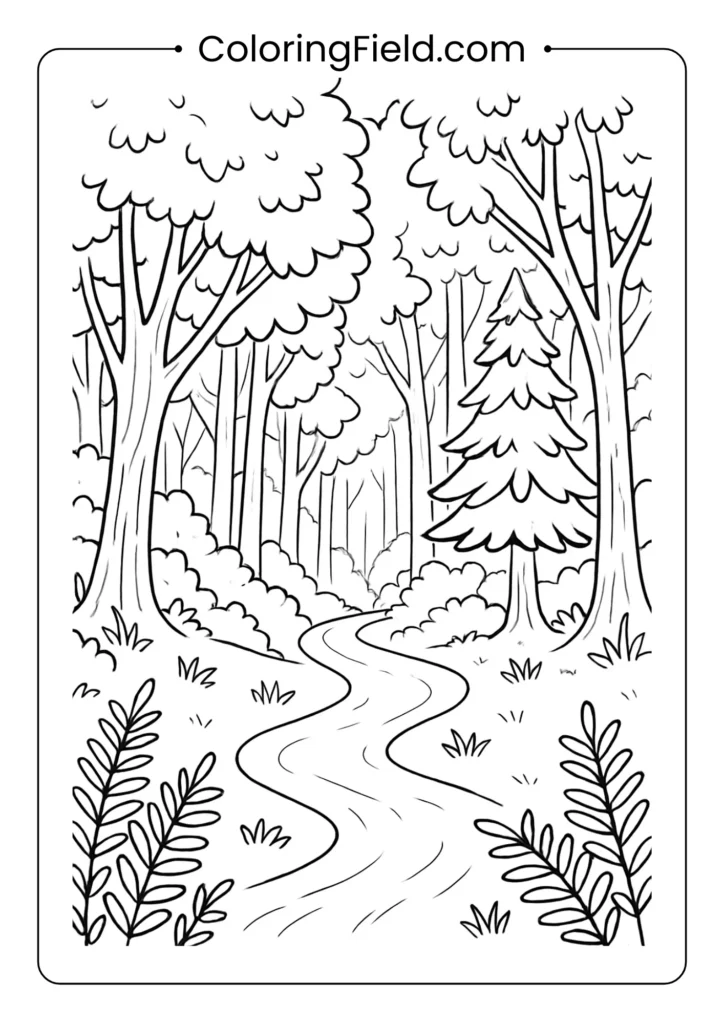Dense forest coloring page showing narrow trail through thick woods with ferns