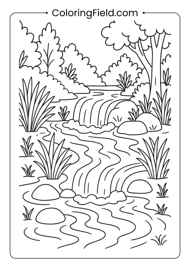 Forest stream coloring page with stepping stones, water plants, and small waterfall