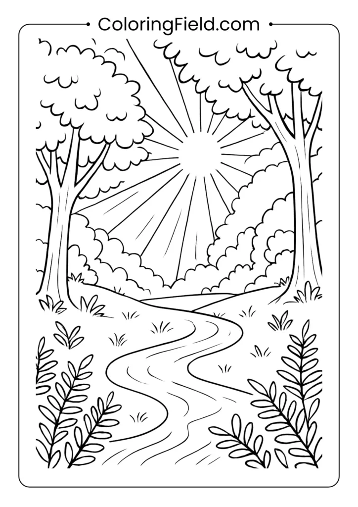 Forest glade coloring page with sunbeams streaming through tree canopy