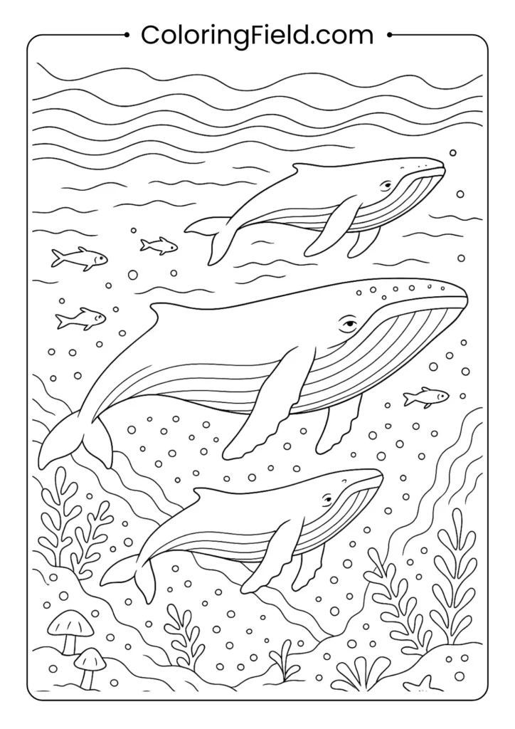 Majestic humpback whale family swimming through ocean waters during migration with marine life companions