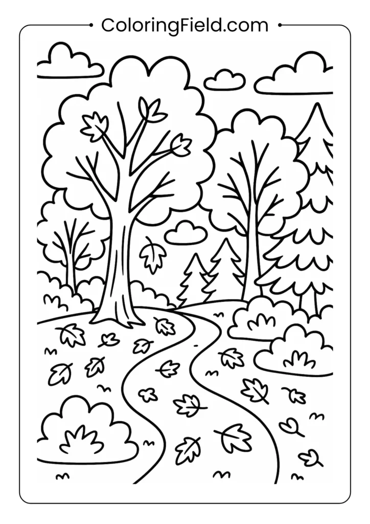 Autumn forest path coloring page featuring a scenic trail surrounded by trees with colorful fall leaves.