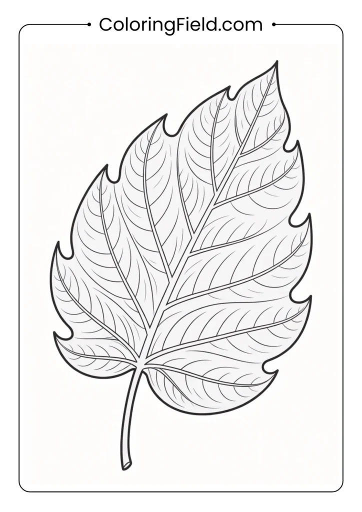Big leaf outline coloring page featuring a large, simple leaf shape with clear veins and smooth edges.