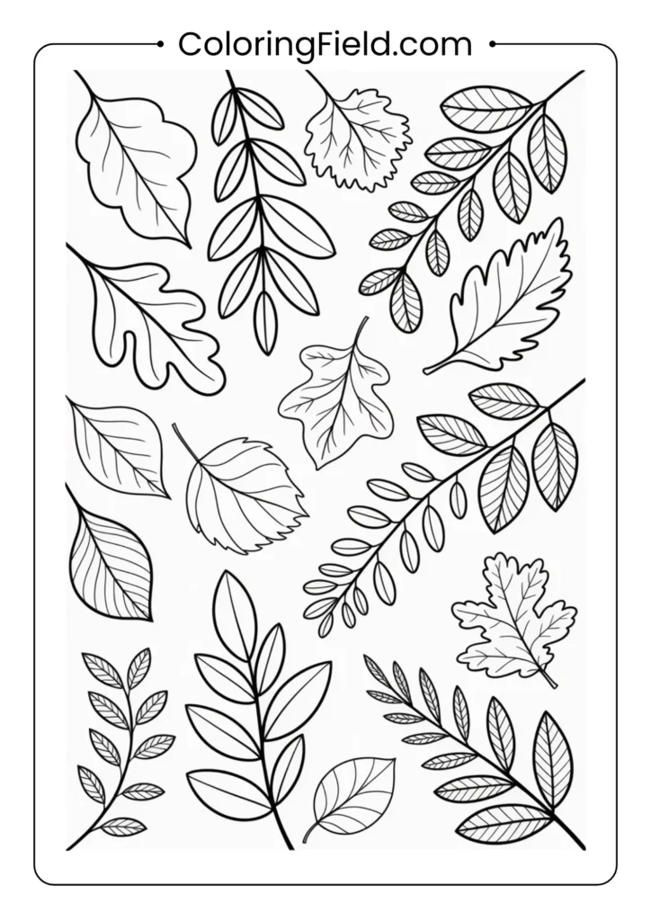 Forest leaves pattern coloring page featuring a repeating design of various leaf shapes from oak, maple, and pine trees.